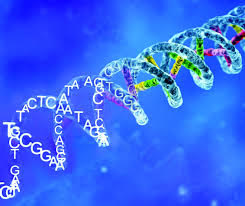 Scienziati italiani scoprono una molecola contro il DNA malato