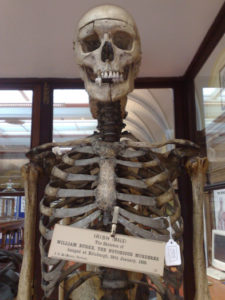 skeleton_002