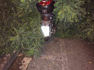 Napoli, cade un albero al Vomero. Sfiorata la tragedia