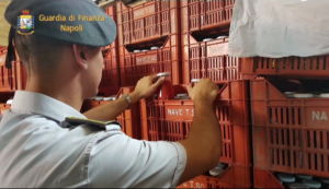 Giugliano, la Gdf sequestra conserve in pessime condizioni