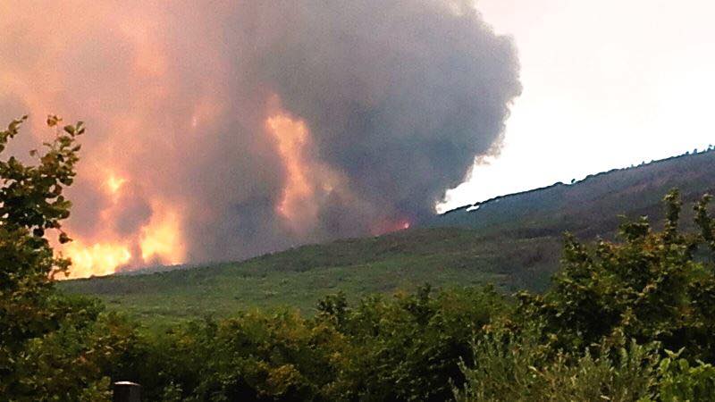 Vesuvio, forestali impegnati contro incendi e deforestazione