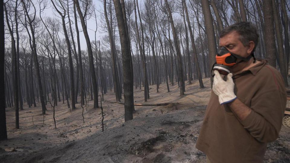 Vesuvio, forestali impegnati contro incendi e deforestazione Vesuvio, forestali impegnati contro incendi e deforestazione