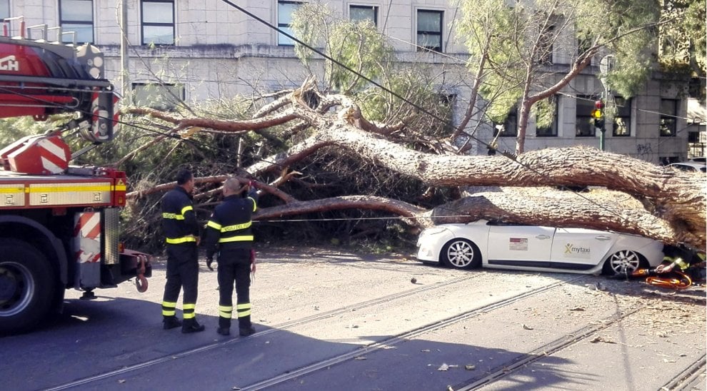 roma albero crolla su auto in centro