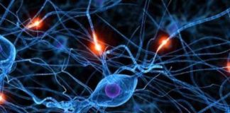 Malato di Parkinson operato a L’Aquila non trema più.