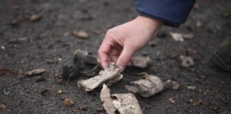 Caserta news. Il bambino aveva preso il petardo in mano raccogliendolo in strada e la forte deflagrazione ha provocato il distacco di due dita.