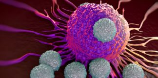 Le diagnosi di tumore in Italia aumentano. Investire sulla prevenzione