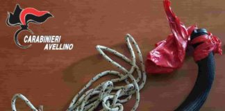 Irpinia News: 18enne picchiato a sangue, imbavagliato e legato a un albero