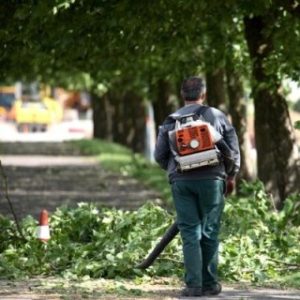 Furbetti del cartellino: 12 giardinieri stipendiati dal Comune indagati a Napoli