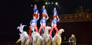 Nola, arriva l’American Circus, il più grande circo del mondo a 3 piste