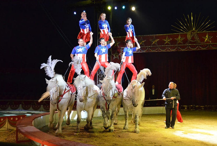 Nola, arriva l’American Circus, il più grande circo del mondo a 3 piste