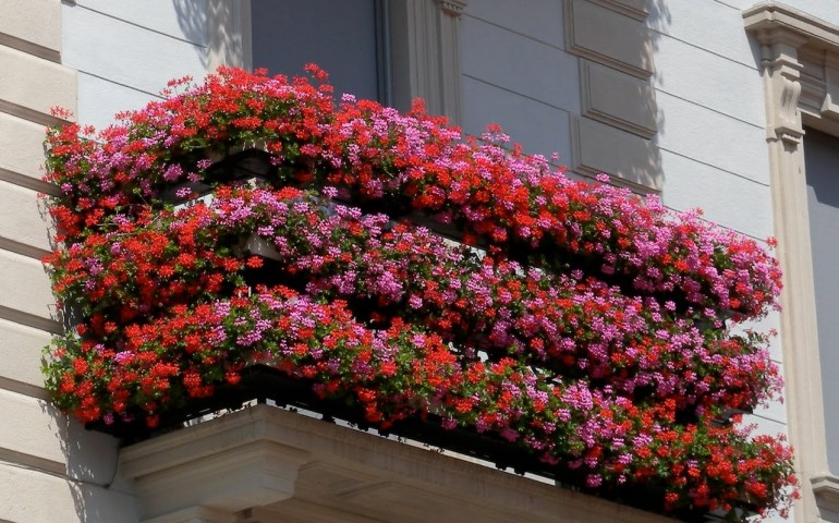 Benvenuta Prima-Vera: a Napoli la gara tra balconi e negozi in fiore