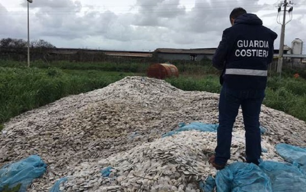 Dischetti spiaggiati: la Guardia Costiera fa luce sull'origine dell'inquinamento