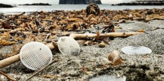 Giornata Mondiale dell'Ambiente, arriva il decalogo sulla plastica