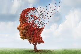L' Alzheimer, nuove scoperte sul meccanismo che blocca la memoria 
