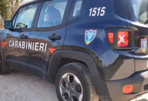 Avellino, operazione 'Pasqua Sicura': 4 arresti e 53 denunce 