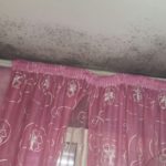 Napoli, emergenza case popolari: la manutenzione è assente da 30 anni Napoli, emergenza case popolari: la manutenzione è assente da 30 anni