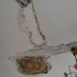 Napoli, emergenza case popolari: la manutenzione è assente da 30 anni Napoli, emergenza case popolari: la manutenzione è assente da 30 anni