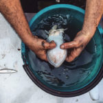 Alla Reggia Designer Outlet la mostra del fotografo Giuseppe Di Vaio Alla Reggia Designer Outlet la mostra del fotografo Giuseppe Di Vaio