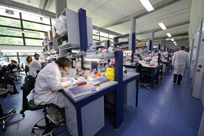 Tigem di Pozzuoli: scoperto il gene mutato di una rara malattia genetica Tigem di Pozzuoli: scoperto il gene mutato di una rara malattia genetica