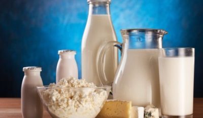 Il probiotico Shirota e l'effetto antiossidante del latte fermentato 