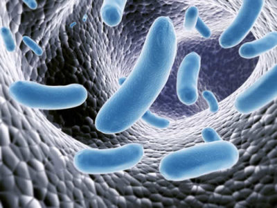 Il viaggiare in un altro Paese modifica la flora batterica intestinale