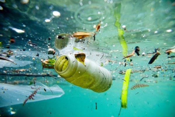 Green Peace, Plastic Radar: per segnalare i rifiuti di plastica in mare