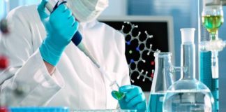 'Neuroni di estinzione': Ecco come il cervello combatte le nostre paure