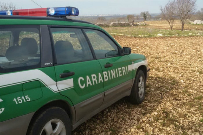 Palma Campania, sequestri e sanzioni da parte dei carabinieri