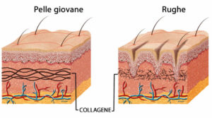 Il collagene, una proteina preziosa. Cosa sapere e consigli utili