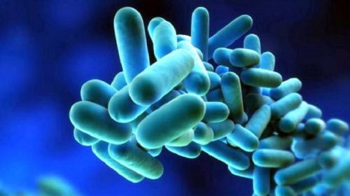 Allarme Legionella. Facciamo chiarezza sui rischi e la prevenzione