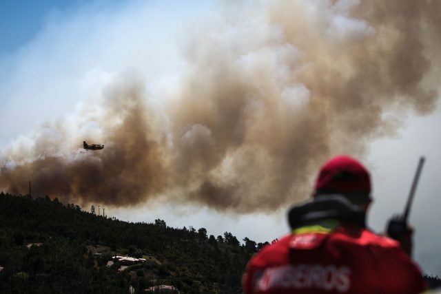 Capri, 15enne incendia la vegetazione del Monte Solaro: 