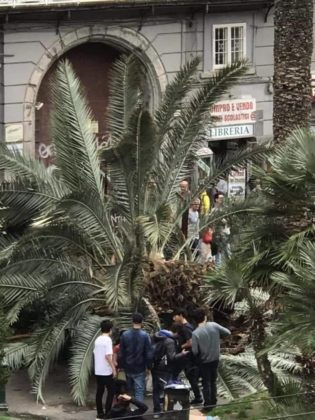 Maltempo a Napoli, Fuorigrotta: morto studente schiacchiato da un albero