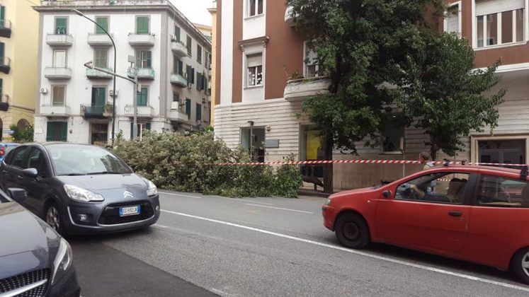 Maltempo a Napoli dove la pioggia e il forte vento stanno creando molti disagi fin dalle prime ore di questa mattina