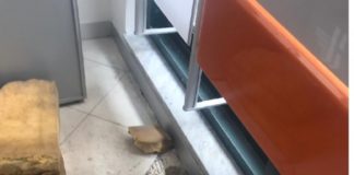 Napoli, sgominata la 'banda del buco': otto arresti