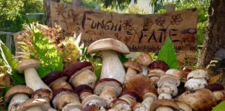 Sagre e Feste in Campania da giovedì 30 ottobre a domenica 2 novembre