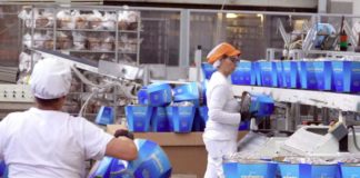 Melegatti, arriva l'accordo: a Natale torna lo storico pandoro