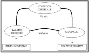 Emozioni, il ruolo del cervello davanti alla bellezza delle immagini