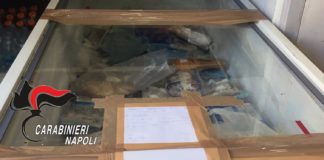 Napoli, San Lorenzo: trovati insetti nel congelatore della macelleria