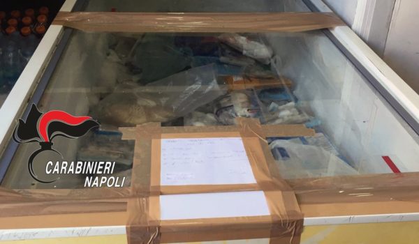 Napoli, San Lorenzo: trovati insetti nel congelatore della macelleria