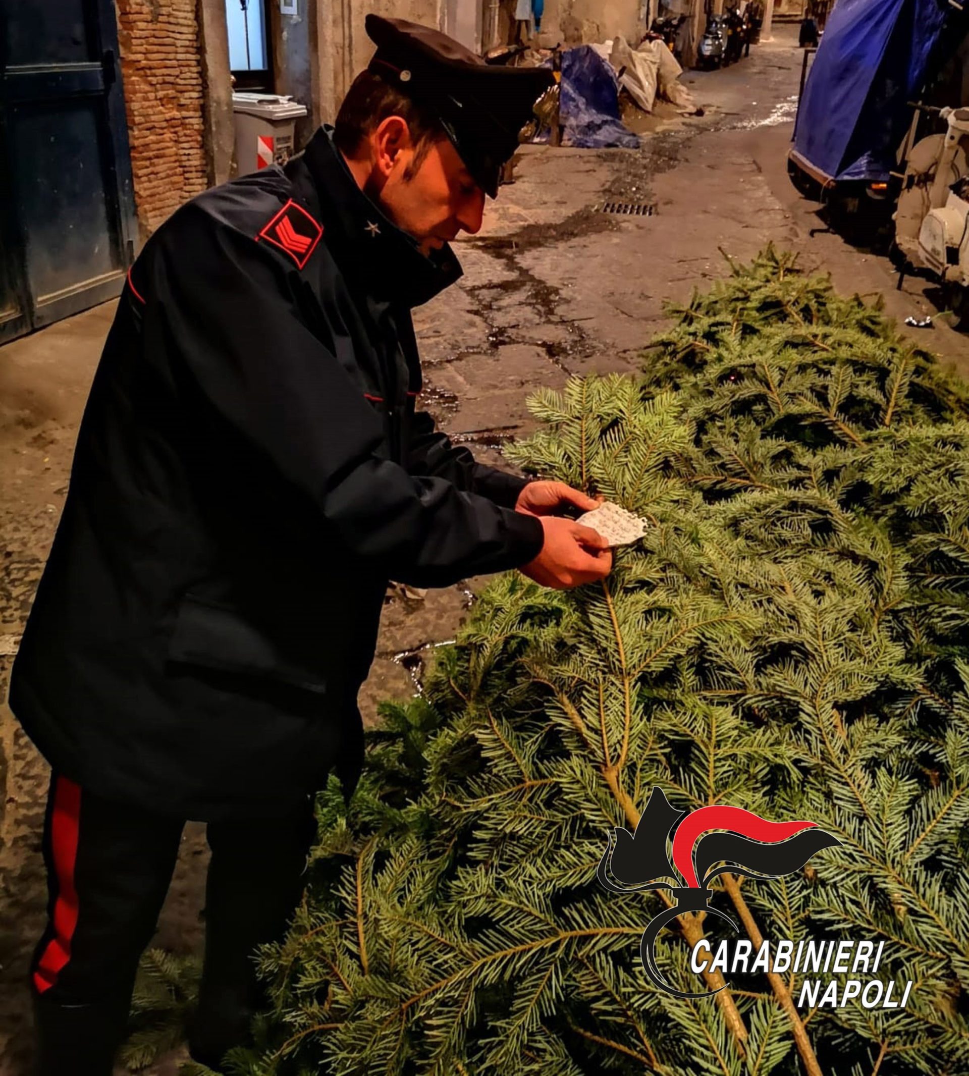 Ritrovato l'albero di Natale della Galleria Umberto rubato dalla babygang
