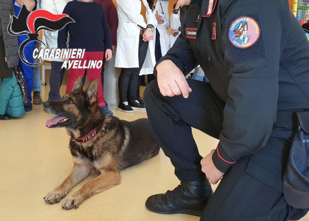 Avellino, Ospedale Moscati: Carabinieri visitano reparto di Pediatria col cane Pirat
