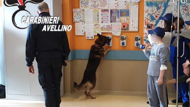 Avellino, Ospedale Moscati: Carabinieri visitano reparto di Pediatria col cane Pirat