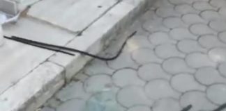 Tra giovedì e venerdì qualcuno ha vandalizzato alcune aree del cimitero di Ponticelli, in via Argine. Indagini in corso.