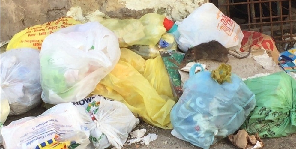 Napoli, il quartiere Fuorigrotta tra rifiuti e topi: la rabbia dei cittadini