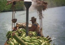 Stasera in tv sabato 7 marzo: Banana Joe