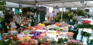 Il 5 maggio 2020 riapriranno tutti i mercati all’ingrosso dei fiori della Campania