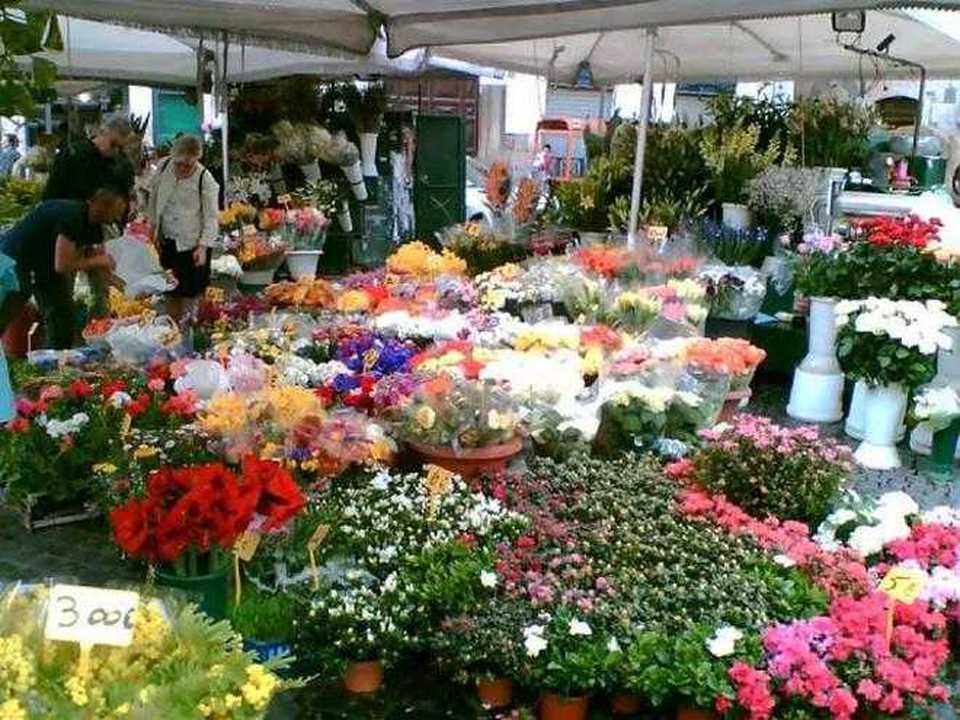 Il 5 maggio 2020 riapriranno tutti i mercati all’ingrosso dei fiori della Campania