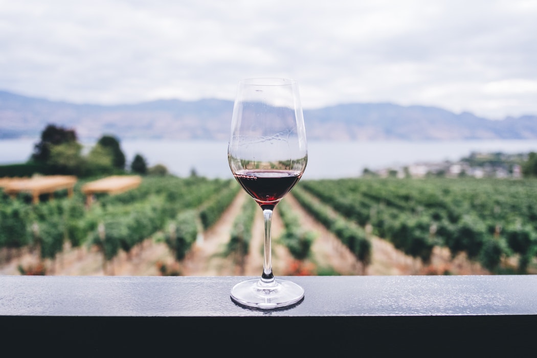 La tradizione vinicola campana: i vini regionali d’eccellenza