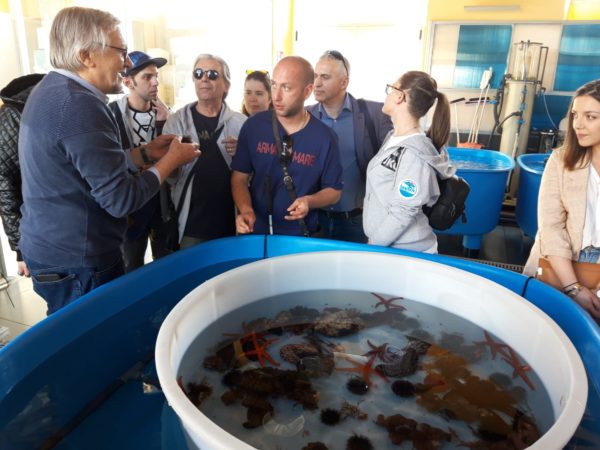 A Portici il Progetto Searen, ragazzi non vedenti a lezione (tattile) di biologia marina