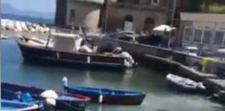 Posillipo, ancora choc a Riva Fiorita: il mare diventa bianco